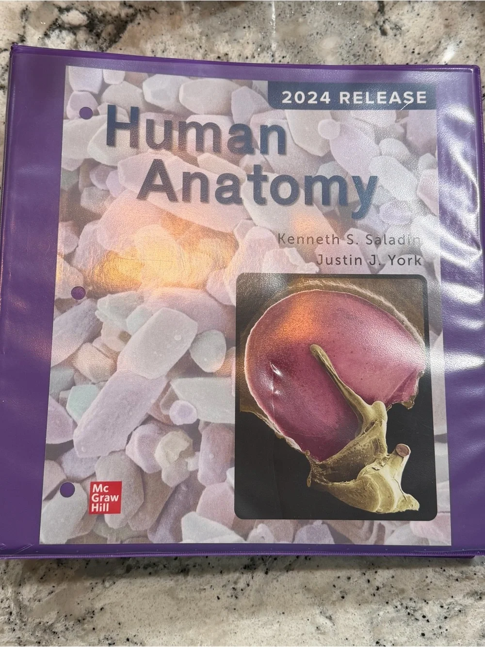 Loose Leaf for Saladin Human Anatomy: 2024 Release